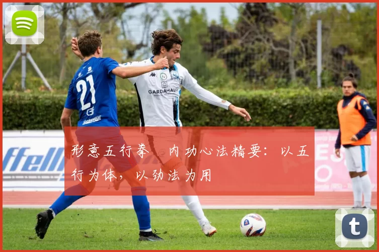 形意五行拳・内功心法精要：以五行为体，以劲法为用