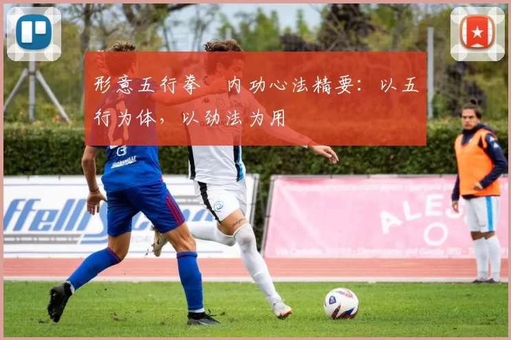 形意五行拳・内功心法精要:以五行为体,以劲法为用