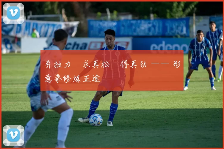 弃拙力・求真松・得真劲 —— 形意拳修炼正途