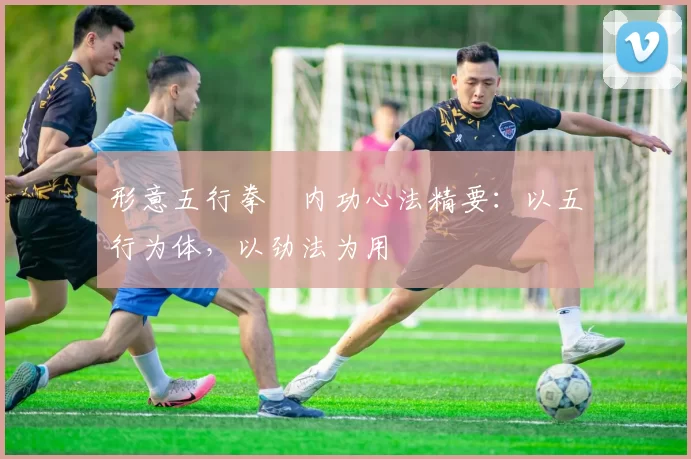 形意五行拳・内功心法精要：以五行为体，以劲法为用