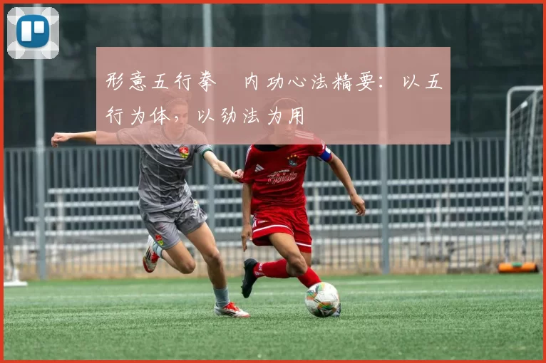 形意五行拳・内功心法精要：以五行为体，以劲法为用