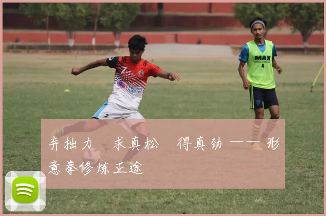 弃拙力・求真松・得真劲 —— 形意拳修炼正途