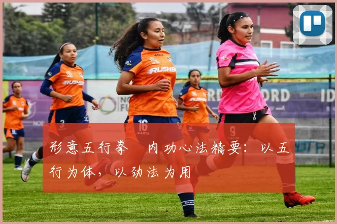 形意五行拳・内功心法精要：以五行为体，以劲法为用