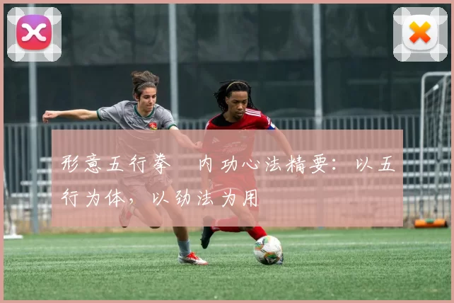 形意五行拳・内功心法精要：以五行为体，以劲法为用