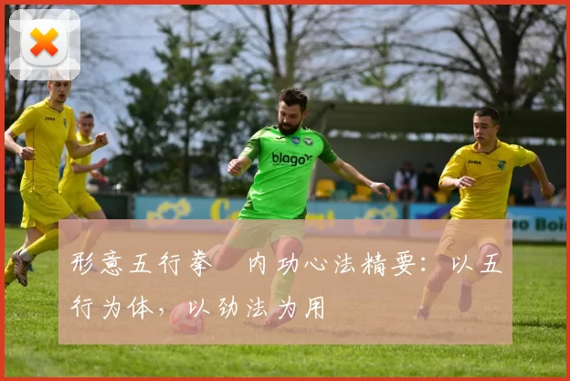 形意五行拳・内功心法精要：以五行为体，以劲法为用