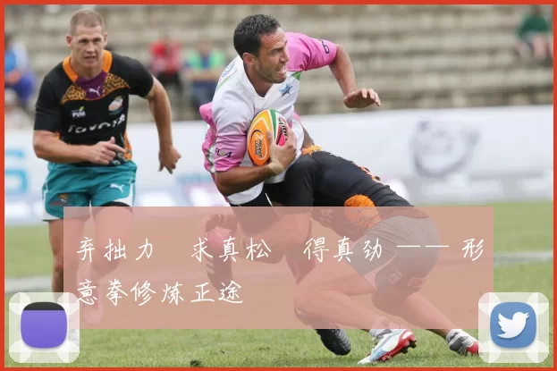 弃拙力・求真松・得真劲 —— 形意拳修炼正途