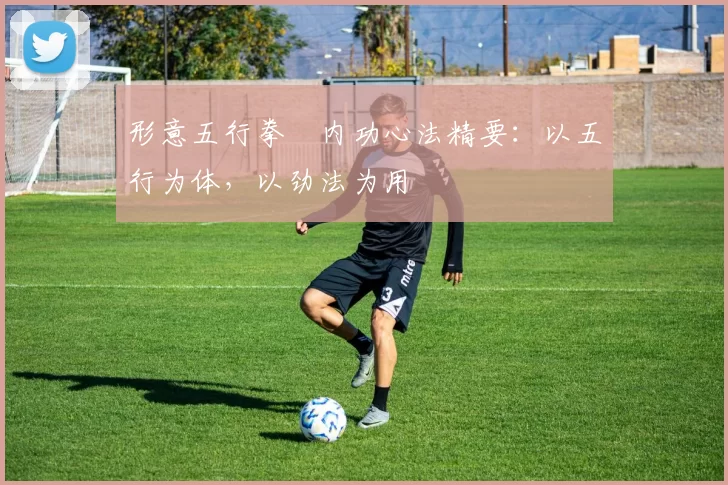 形意五行拳・内功心法精要：以五行为体，以劲法为用