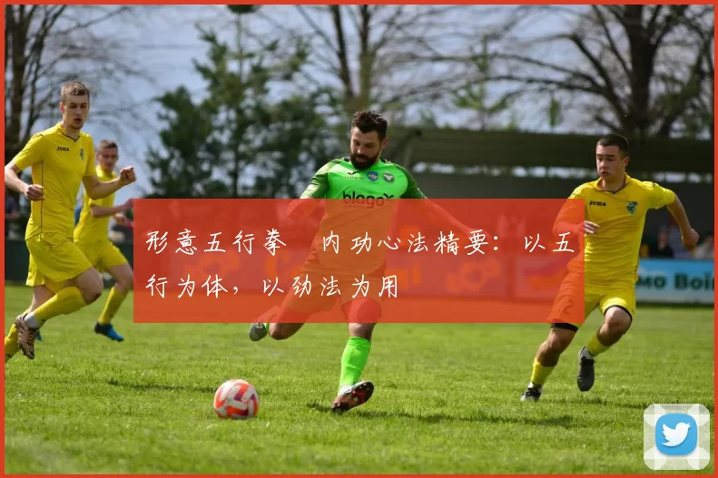 形意五行拳・内功心法精要：以五行为体，以劲法为用