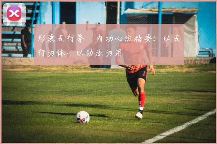 形意五行拳・内功心法精要：以五行为体，以劲法为用