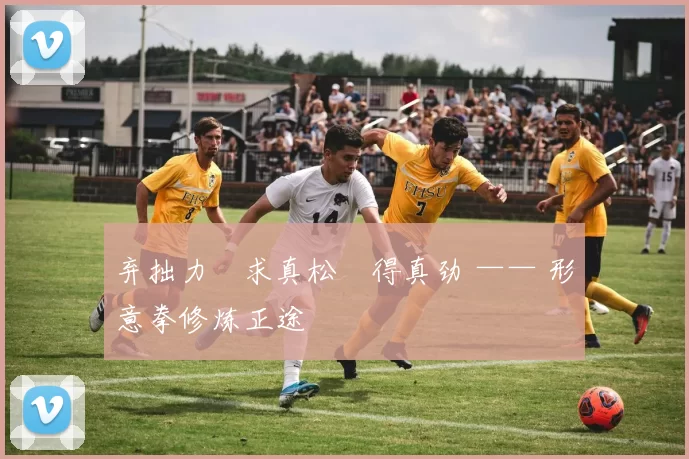 弃拙力・求真松・得真劲 —— 形意拳修炼正途