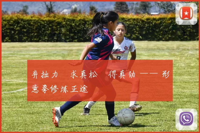 弃拙力・求真松・得真劲 —— 形意拳修炼正途