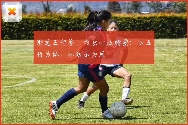 形意五行拳・内功心法精要：以五行为体，以劲法为用