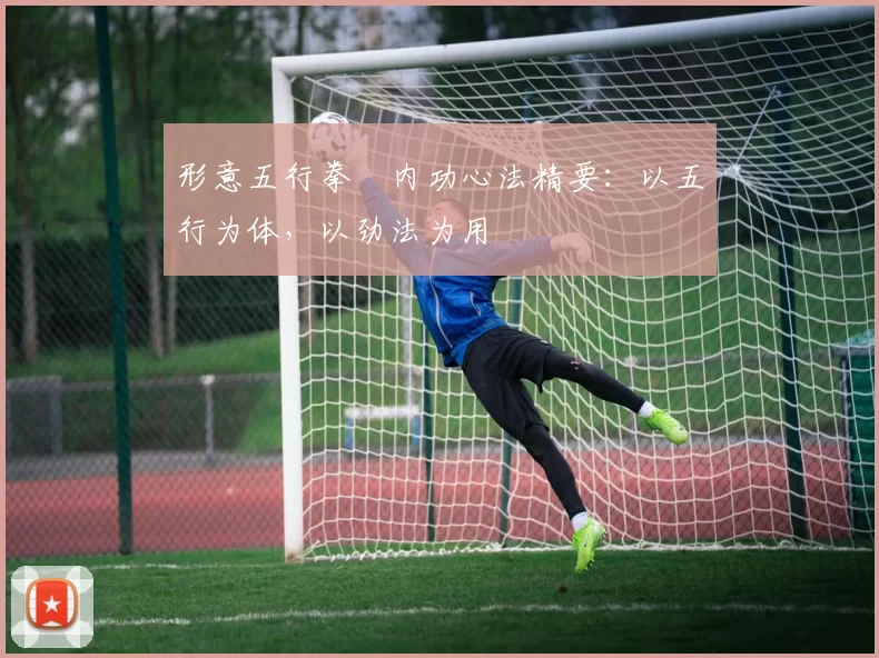 形意五行拳・内功心法精要：以五行为体，以劲法为用