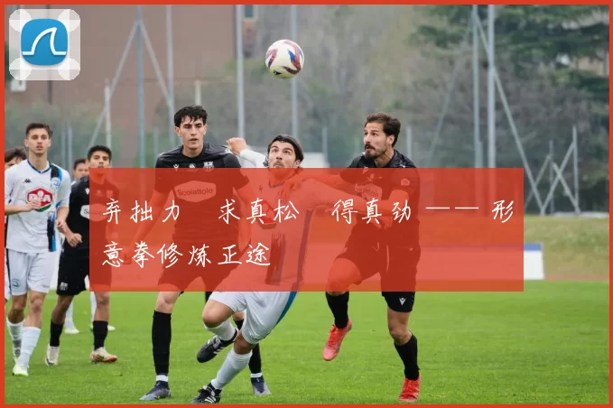 弃拙力・求真松・得真劲 —— 形意拳修炼正途