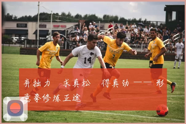 弃拙力・求真松・得真劲 —— 形意拳修炼正途