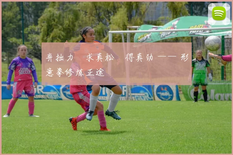 弃拙力・求真松・得真劲 —— 形意拳修炼正途