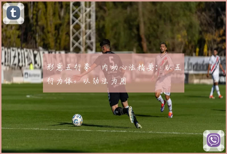 形意五行拳・内功心法精要：以五行为体，以劲法为用