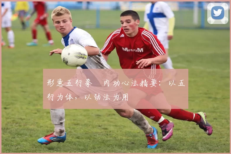 形意五行拳・内功心法精要：以五行为体，以劲法为用