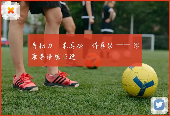 弃拙力・求真松・得真劲 —— 形意拳修炼正途