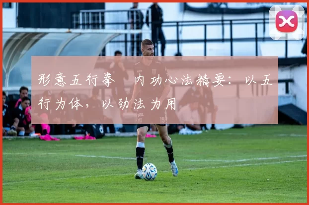 形意五行拳・内功心法精要：以五行为体，以劲法为用