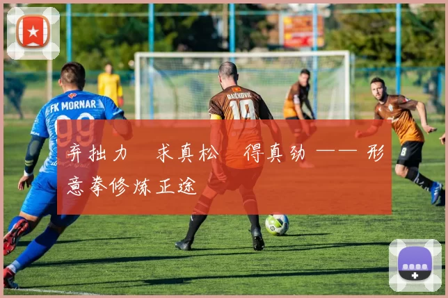 弃拙力・求真松・得真劲 —— 形意拳修炼正途