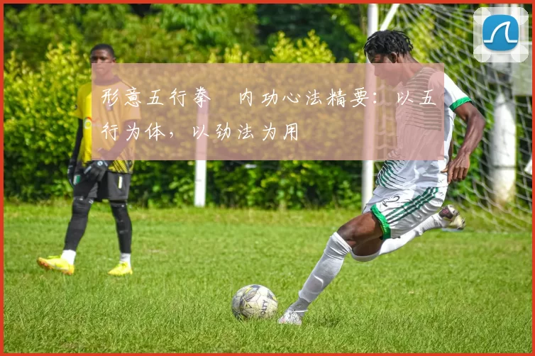 形意五行拳・内功心法精要：以五行为体，以劲法为用