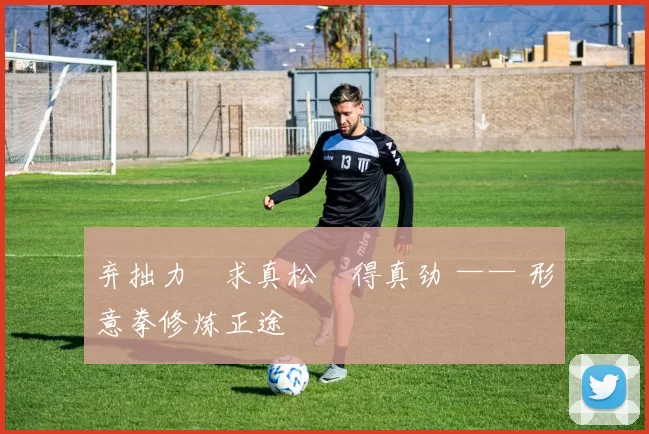 弃拙力・求真松・得真劲 —— 形意拳修炼正途