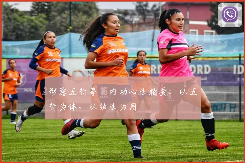 形意五行拳・内功心法精要：以五行为体，以劲法为用