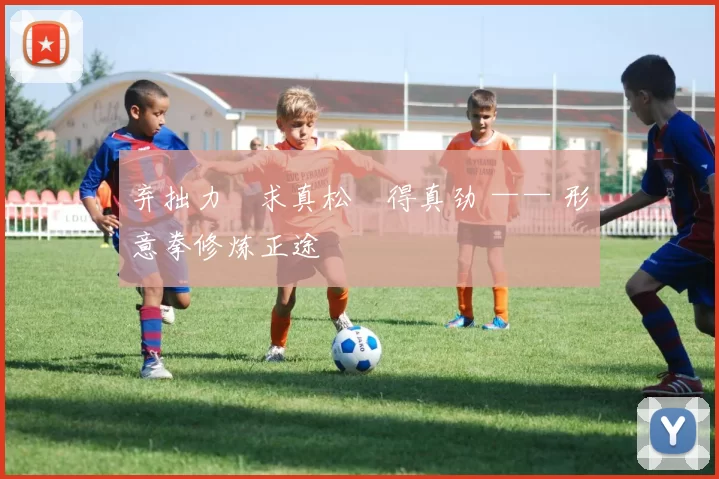 弃拙力・求真松・得真劲 —— 形意拳修炼正途