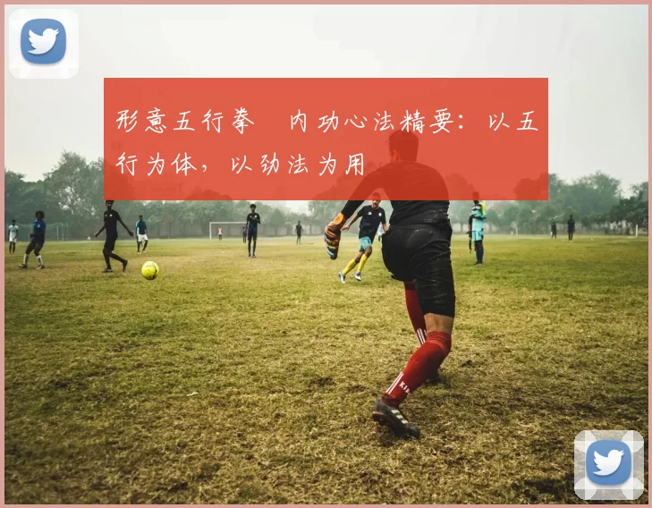 形意五行拳・内功心法精要:以五行为体,以劲法为用