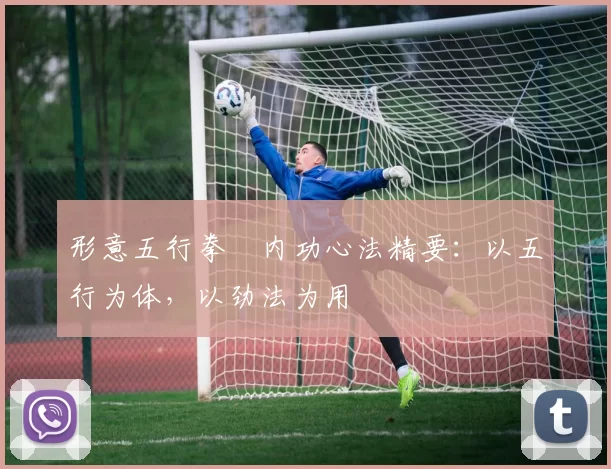 形意五行拳・内功心法精要:以五行为体,以劲法为用