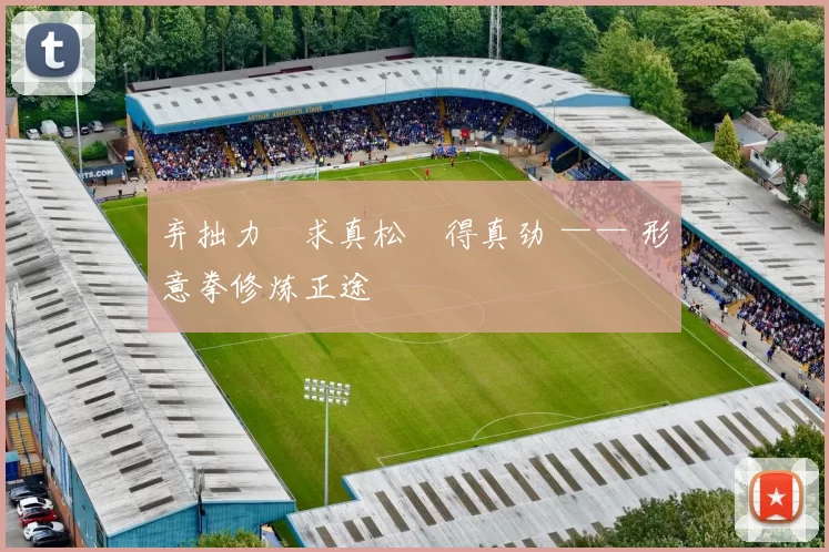 弃拙力・求真松・得真劲 —— 形意拳修炼正途