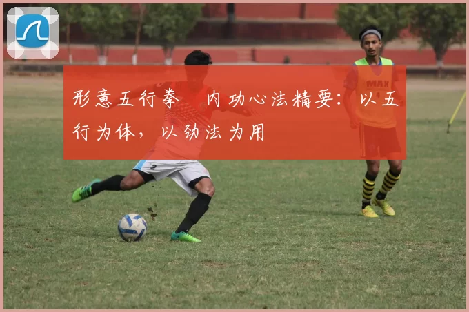 形意五行拳・内功心法精要：以五行为体，以劲法为用