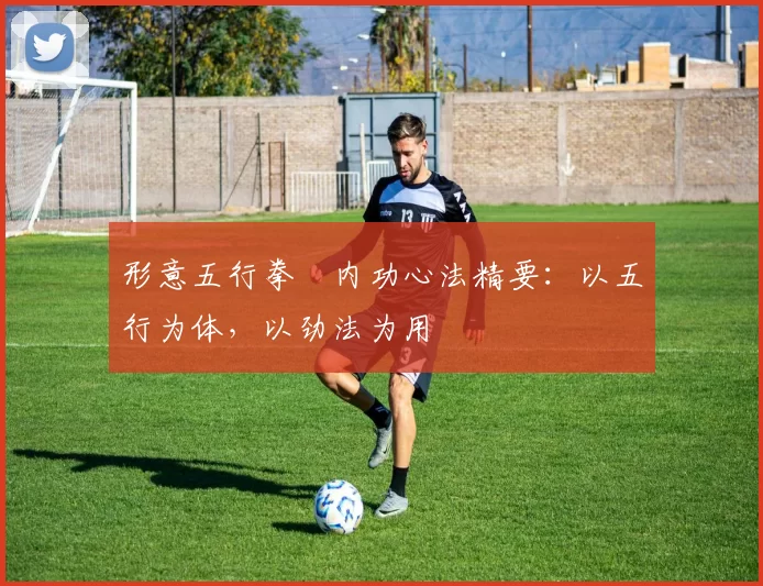 形意五行拳・内功心法精要：以五行为体，以劲法为用