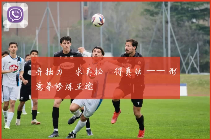弃拙力・求真松・得真劲 —— 形意拳修炼正途