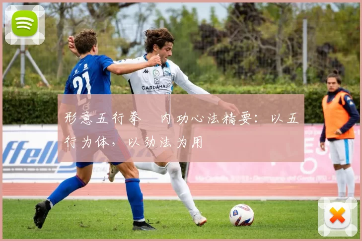 形意五行拳・内功心法精要：以五行为体，以劲法为用