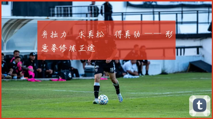 弃拙力・求真松・得真劲 —— 形意拳修炼正途