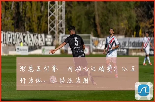 形意五行拳・内功心法精要:以五行为体,以劲法为用