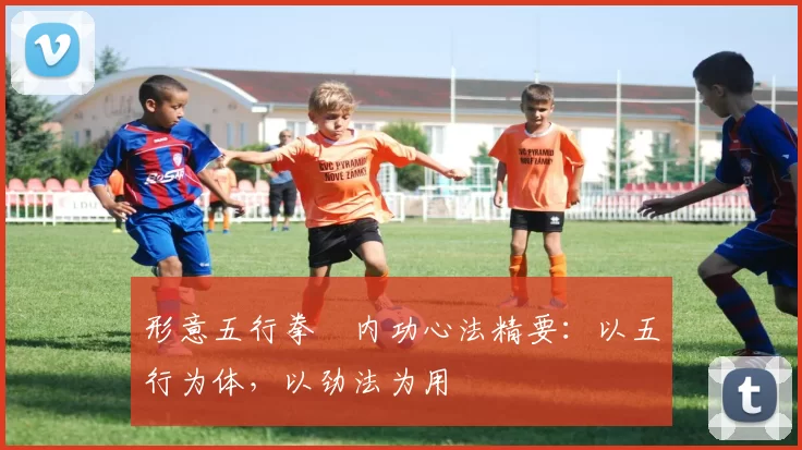 形意五行拳・内功心法精要:以五行为体,以劲法为用