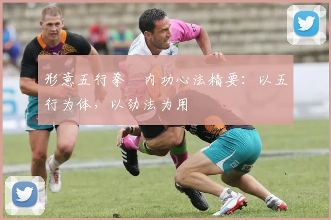 形意五行拳・内功心法精要：以五行为体，以劲法为用