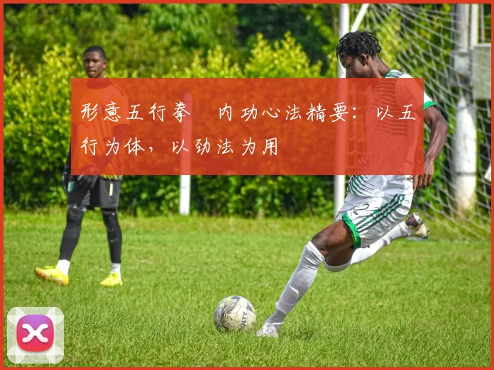 形意五行拳・内功心法精要：以五行为体，以劲法为用