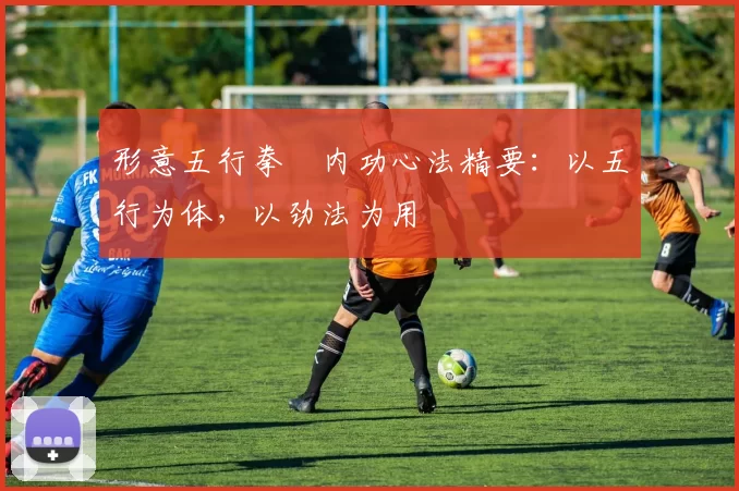 形意五行拳・内功心法精要：以五行为体，以劲法为用