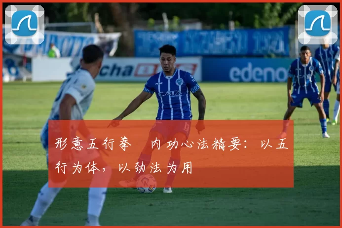形意五行拳・内功心法精要:以五行为体,以劲法为用