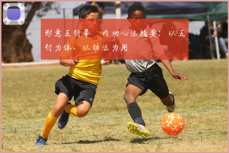 形意五行拳・内功心法精要：以五行为体，以劲法为用