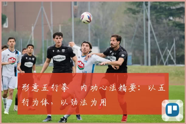 形意五行拳・内功心法精要：以五行为体，以劲法为用