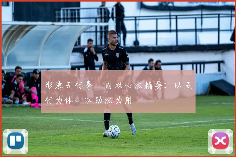 形意五行拳・内功心法精要：以五行为体，以劲法为用