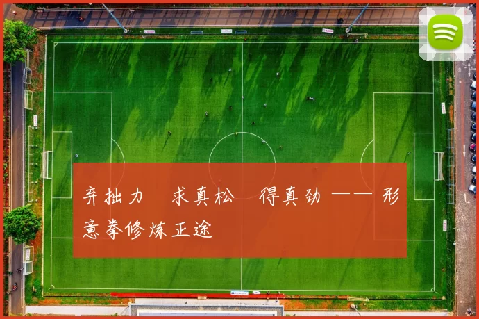 弃拙力・求真松・得真劲 —— 形意拳修炼正途