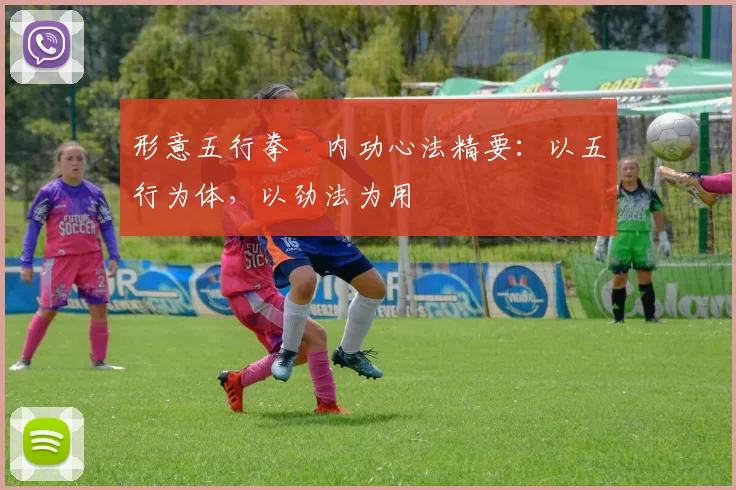 形意五行拳・内功心法精要：以五行为体，以劲法为用