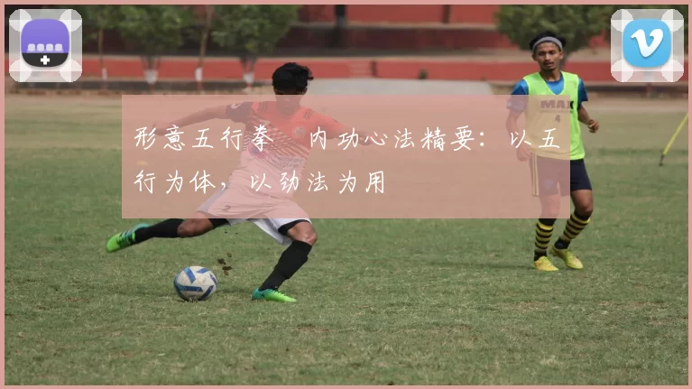 形意五行拳・内功心法精要:以五行为体,以劲法为用