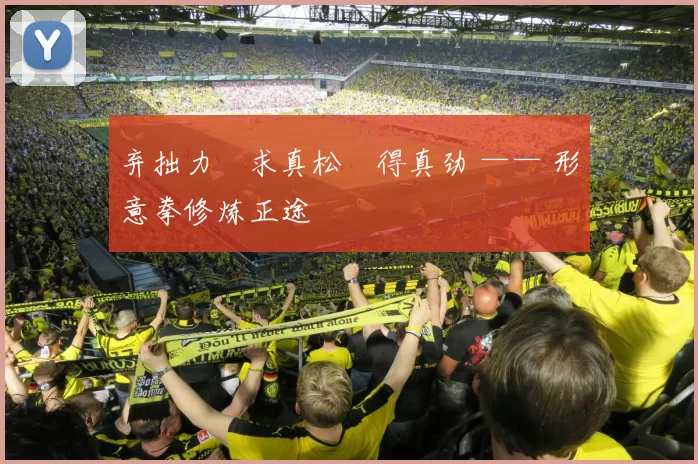 弃拙力・求真松・得真劲 —— 形意拳修炼正途